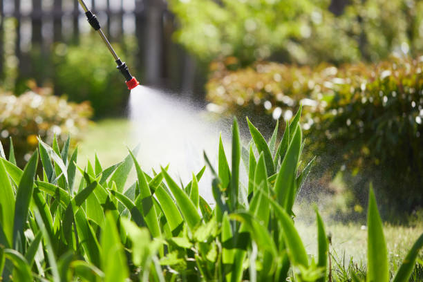 24/7 Emergency Mosquito Control experts in Bedford Hills, NY