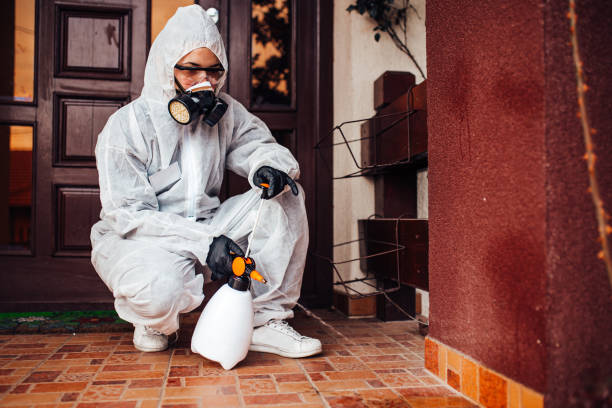 Reliable Mosquito Control contractor in Bedford Hills, NY by Show Me Pest Control